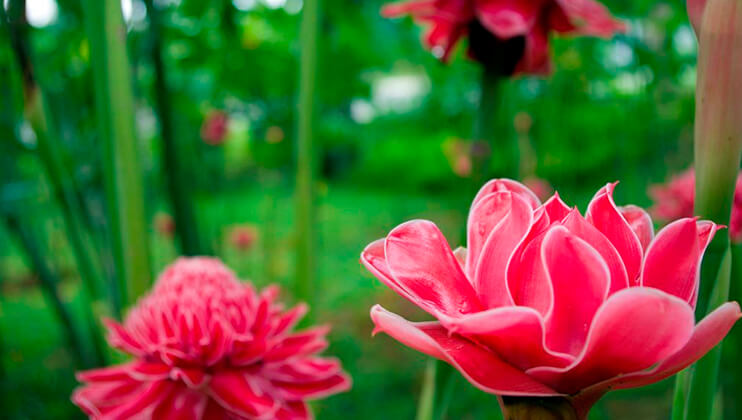 be one with nature in the garden