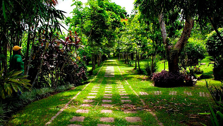 fill your lungs with fresh air in the garden