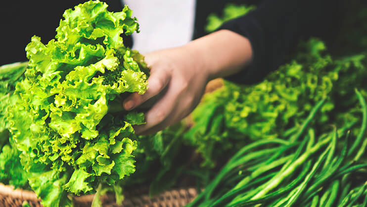 enjoy fresh ingredients from the farmer's market